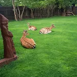 Mazury Nad Lowiskiem Mulawki