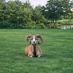 Mazury Nad Lowiskiem Mulawki *