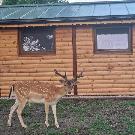 Mazury-nowy Letniskowy Na Lowisku Mulawki Holiday home Ketrzyn