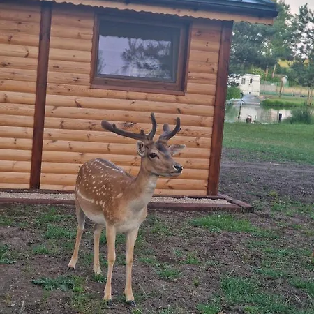 Holiday home Mazury-nowy Letniskowy Na Lowisku Mulawki