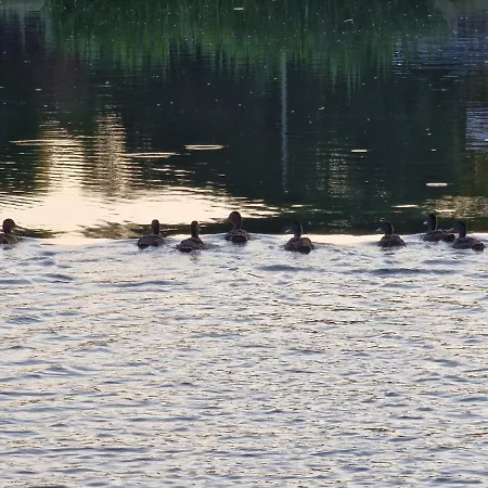 Mazury Domek Nad Lowiskiem Mulawki *
