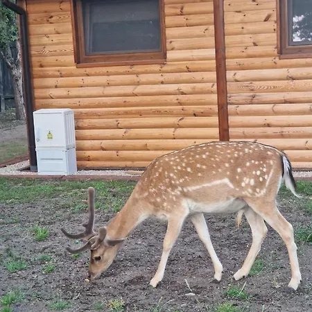 Mazury-nowy Letniskowy Na Lowisku Mulawki