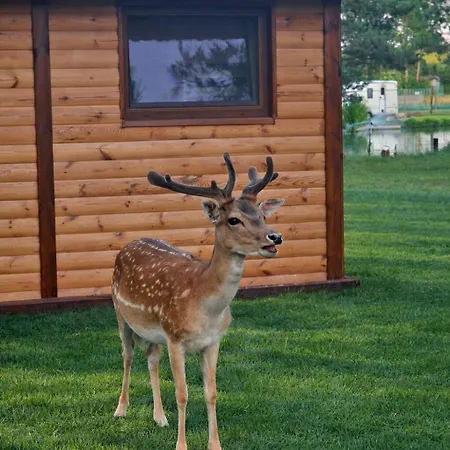 Prázdninový dům Mazury Nad Lowiskiem Mulawki