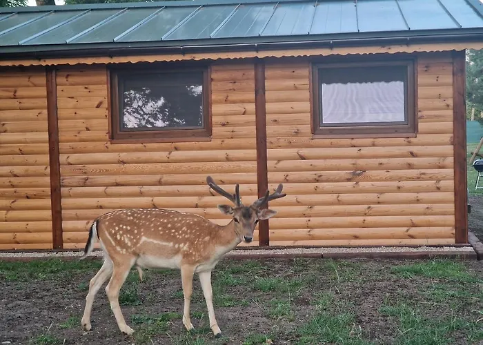 Mazury Domek Nad Lowiskiem Mulawki Дом отдыха Кентшин
