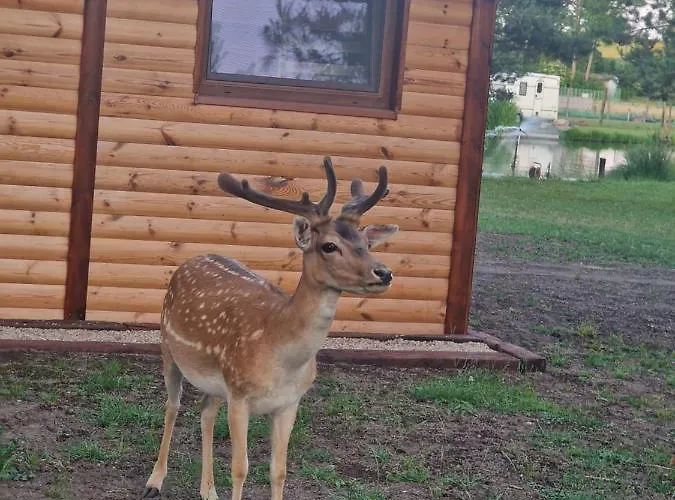Дом отдыха Mazury Domek Nad Lowiskiem Mulawki