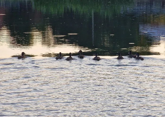 Mazury Domek Nad Lowiskiem Mulawki *