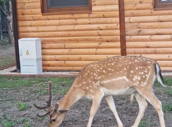 Mazury Domek Nad Lowiskiem Mulawki
