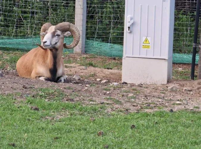 Mazury Domek Nad Lowiskiem Mulawki