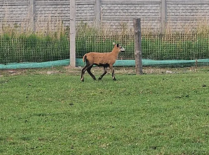 Дом отдыха Mazury Domek Nad Lowiskiem Mulawki