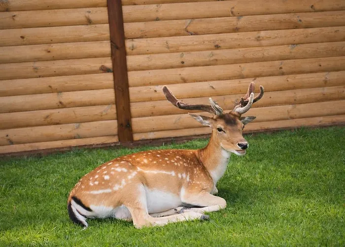 Mazury Nad Lowiskiem Mulawki Holiday home Ketrzyn