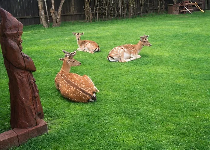 Mazury Nad Lowiskiem Mulawki