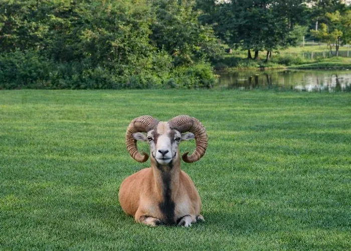 Mazury Nad Lowiskiem Mulawki *