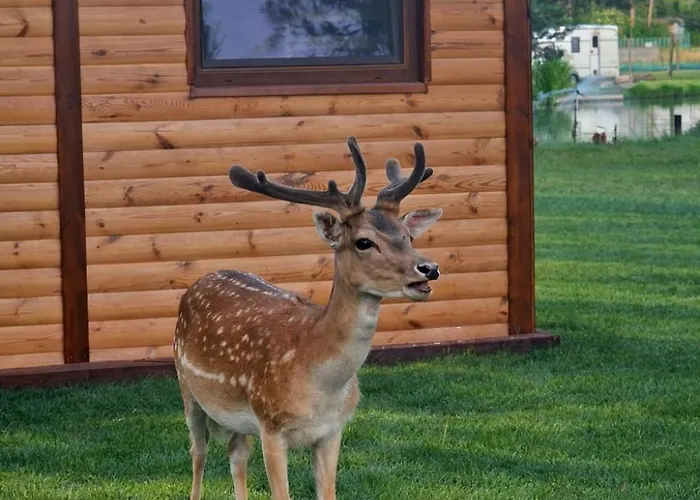 Holiday home Mazury Nad Lowiskiem Mulawki